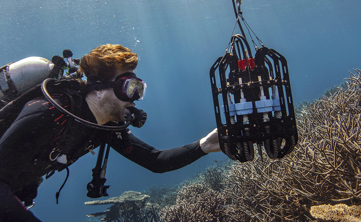 Man in scuba gear touches underwater eDNA depth sampler as it hovers above a coral reef. Photo by Giacomo_d_Orlando_OceanOmics_Abrolhos_Islands_11