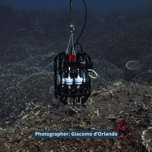 The Ascension depth sampler sits above the ocean floor in southeastern Australia. Photo by Giacomo d'Orlando. The Ascension depth sampler sits above the ocean floor in southeastern Australia. Photo by Giacomo d'Orlando.