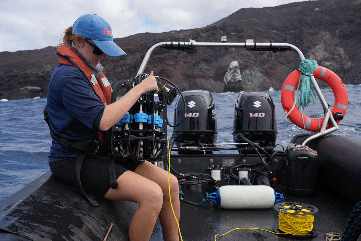 Ascension eDNA deployment Pillar Bay South Coast