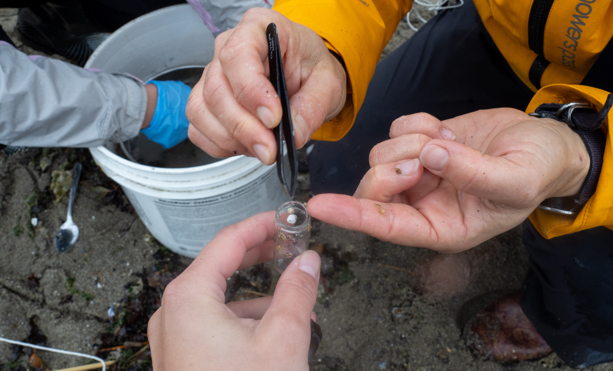 Microplastics Community Science Helen Wong 29