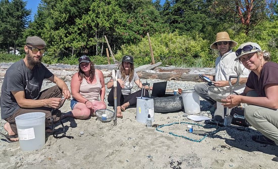 Five citizen scientists sit in the sand at a beach sieving sand for microplastics