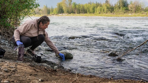Woman kneels along a river's edge to collect eDNA surface samples using a vacuum pump system from Ocean Diagnostics