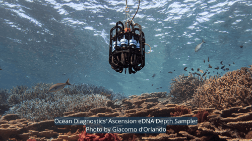 Ocean Diagnostics eDNA depth sampling instrument Ascension sits above a coral reef along the southwestern Australian coastline