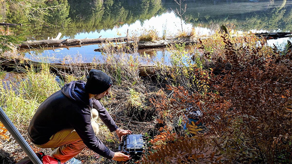 Scientist kneels beside a remote lake in Gatineau Park to open the eDNA sampler carrying case