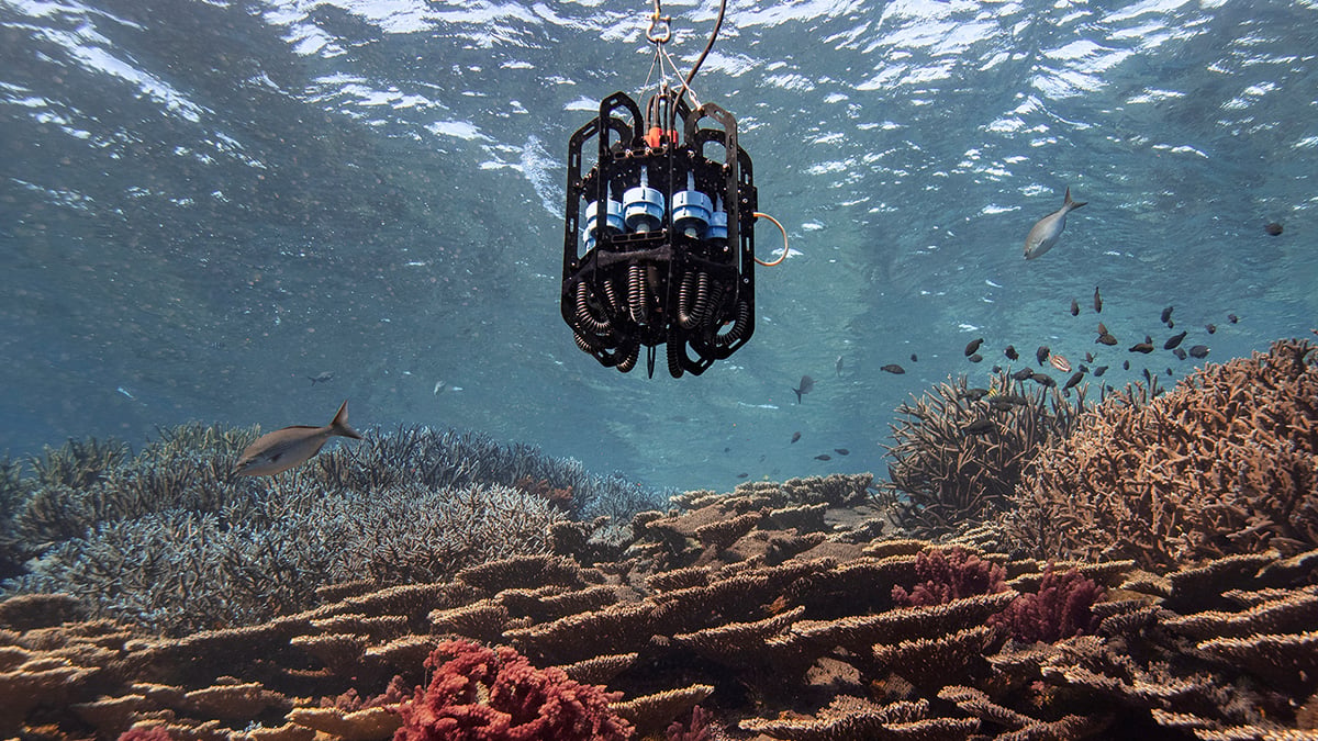 Ascension eDNA depth sampler rests above a coral reef in an Australian marine park. 