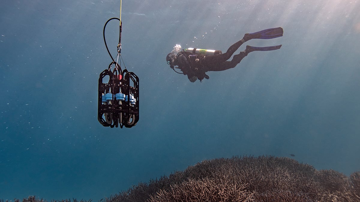 Scuba diver swims alongside the Ascension eDNA depth sampler above a coral reef