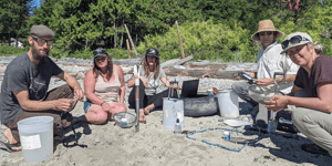 Community scientists survey microplastics on local sandy beach
