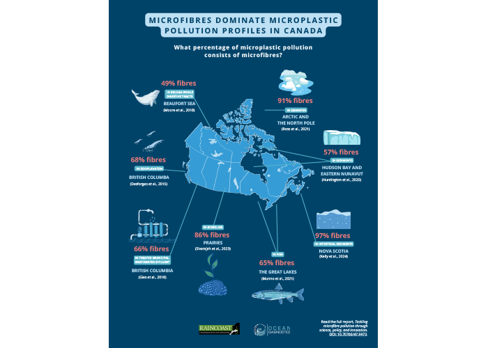 Preview of Microfibres in Canadian environments infographic 