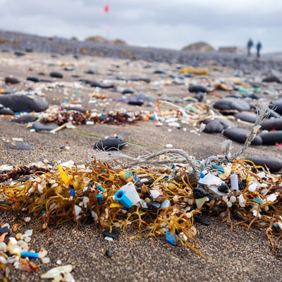 Microplastics washed up on a sandy beach with some grey rocks and among seweed