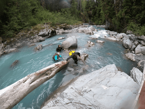Scientists wade waist-deep in Olympic National Park headwater