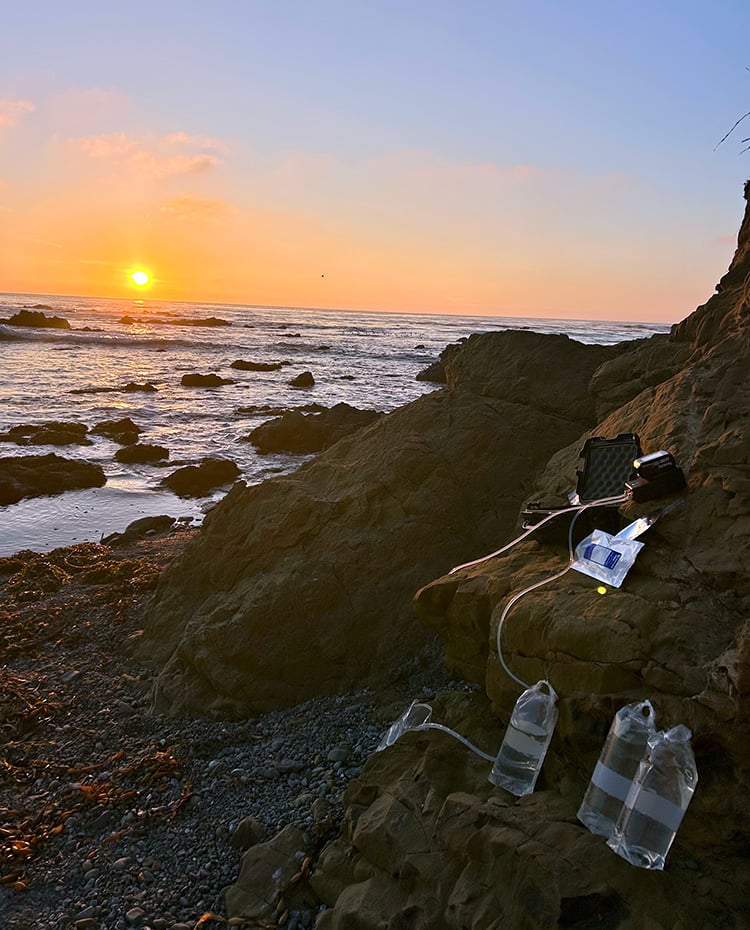 Surface Sampler sits on a large rock at a beach during sunset hour