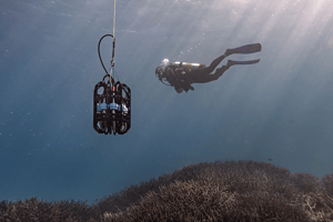 A researcher scuba dives along an Australian coral reef next to a portable depth sampling instrument collecting eDNA samples