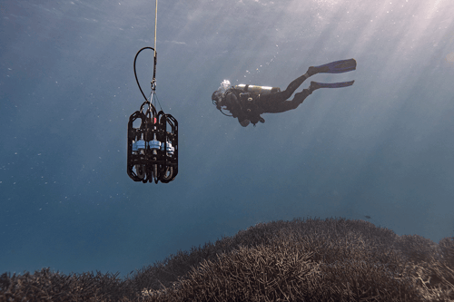 A researcher scuba dives along an Australian coral reef next to a portable depth sampling instrument collecting eDNA samples
