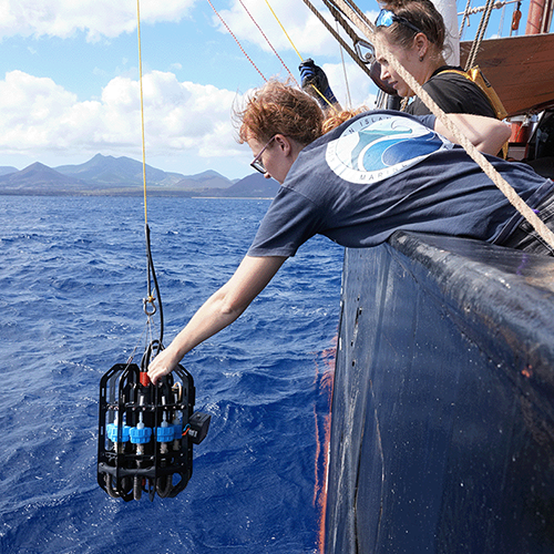 Scientist wearing a navy blue t-shirt leans over the side of a research vessel to retrieve the 20-pound eDNA depth sampler, Ascension, in the blue ocean