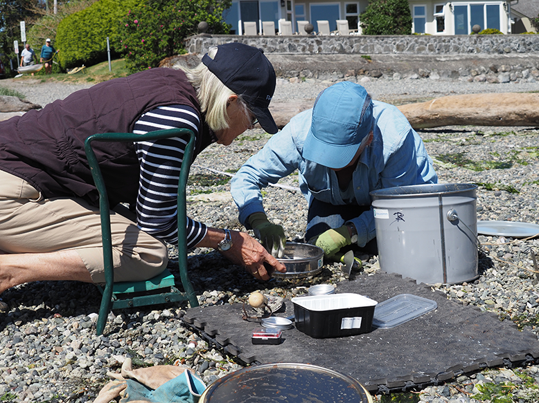 Community scientists study microplastics on BC beach