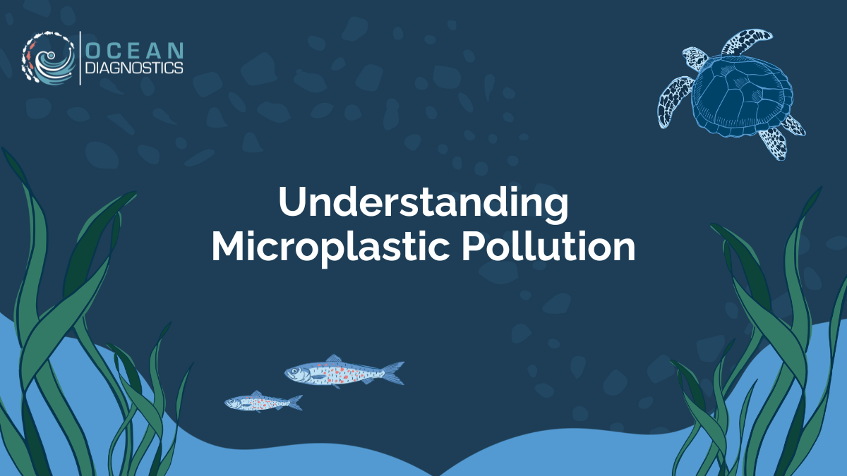 Understanding Microplastic Pollution Presentation Understanding Microplastic Pollution Presentation