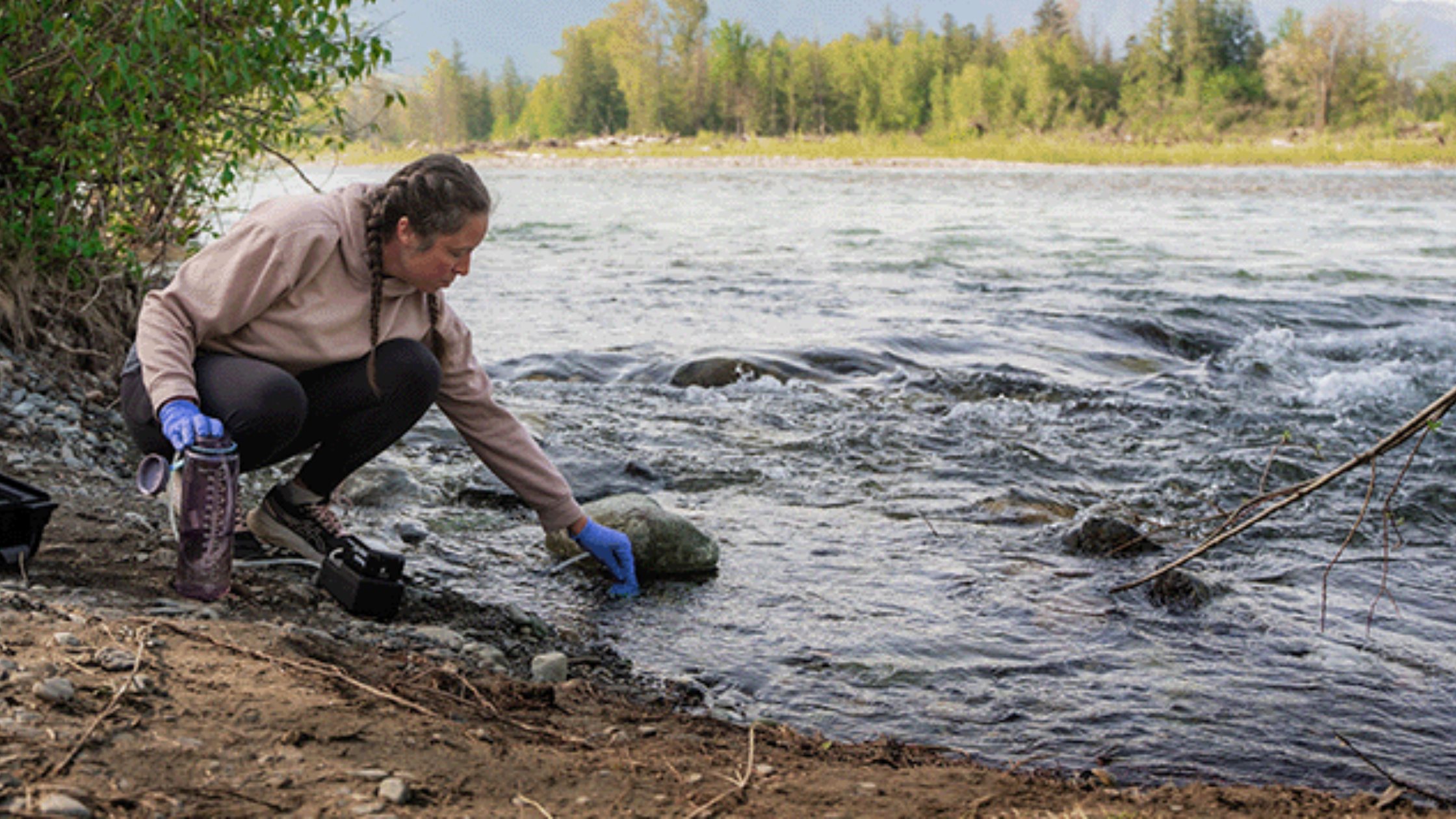 Woman kneels along a river's edge to collect eDNA surface samples using a vacuum pump system from Ocean Diagnostics
