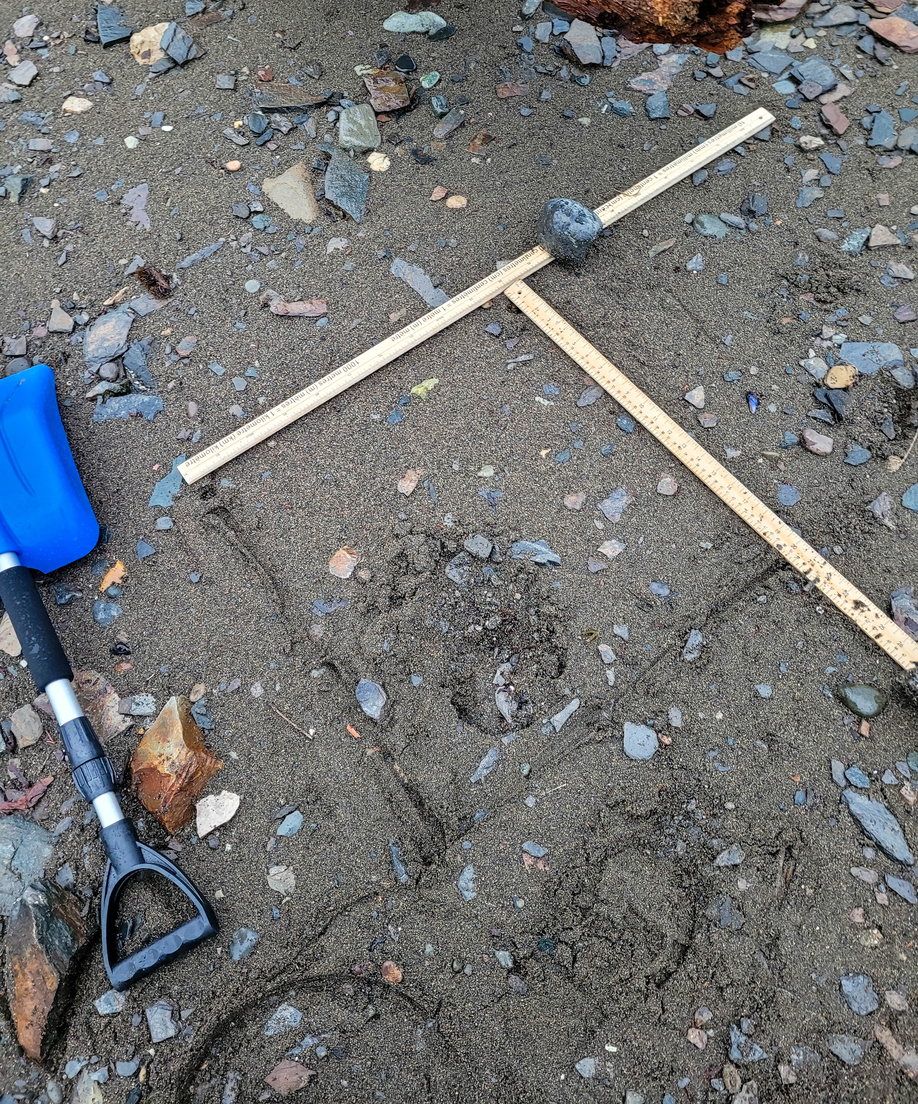 Measuring microplastics from a sandy beach