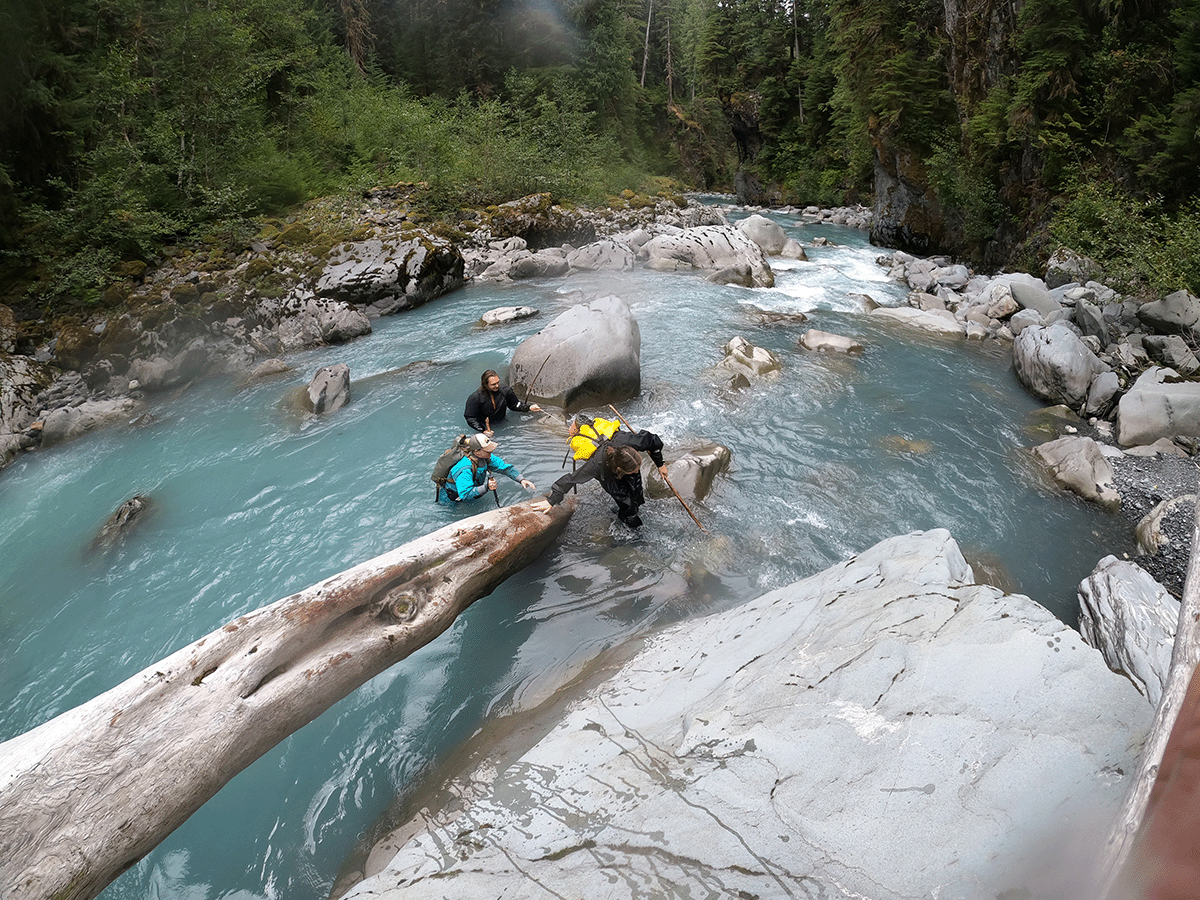 Scientists wade waist-deep in Olympic National Park headwater