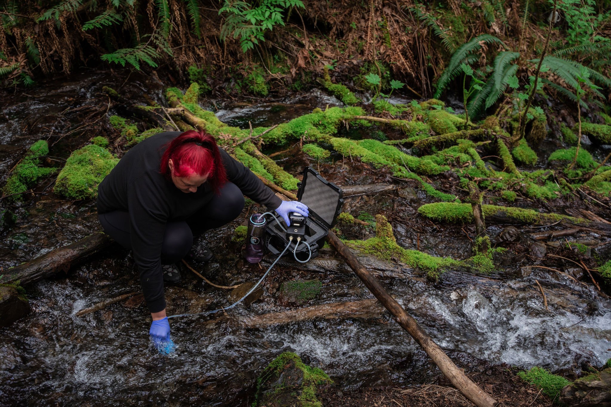 A woman with bright red hair and wearing all black kneels along a creek in a densely populated forest with deep green ferns. She holds an eDNA sampling pump in one hand while collecting freshwater eDNA samples on a filter in the other hand.