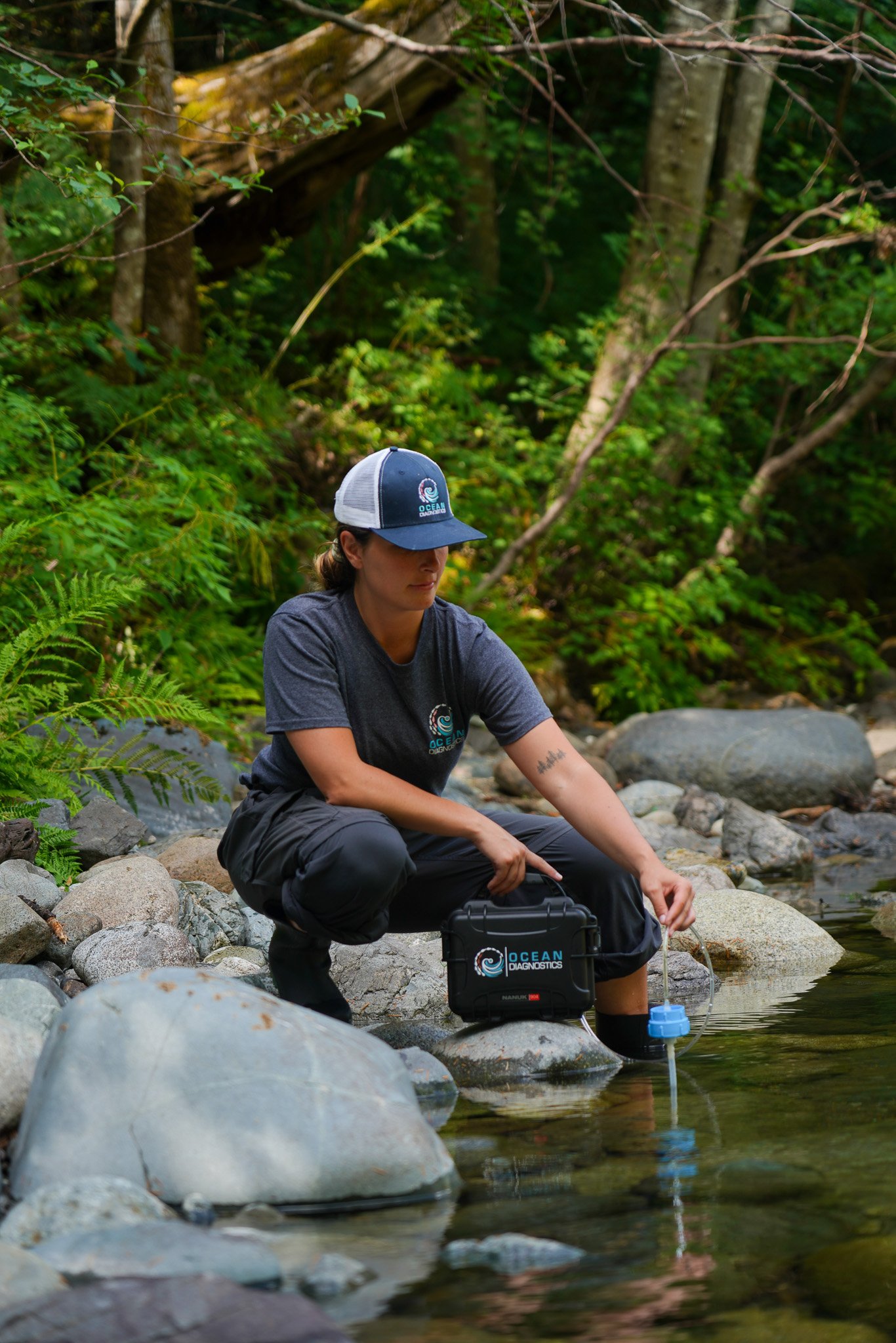 Study invasive species with eDNA samplers