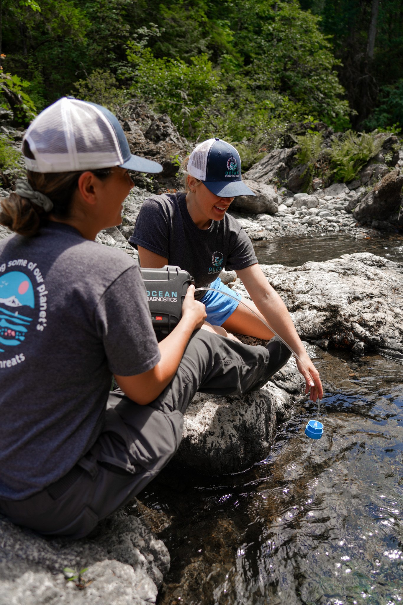 Study invasive species with eDNA samplers