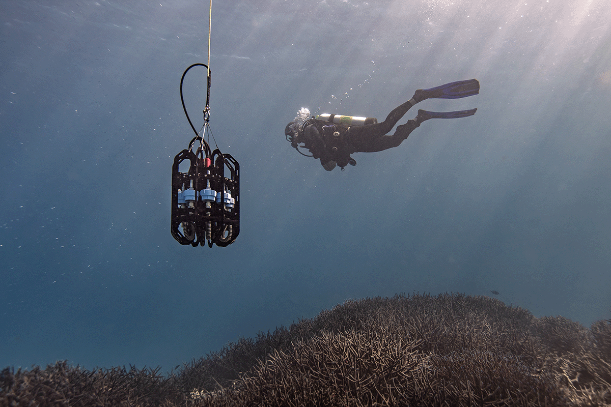 A researcher scuba dives along an Australian coral reef next to a portable depth sampling instrument collecting eDNA samples
